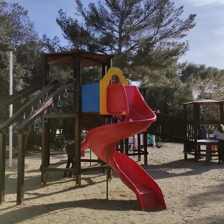 Mobile Eden Pavlov Biograd Na Moru
